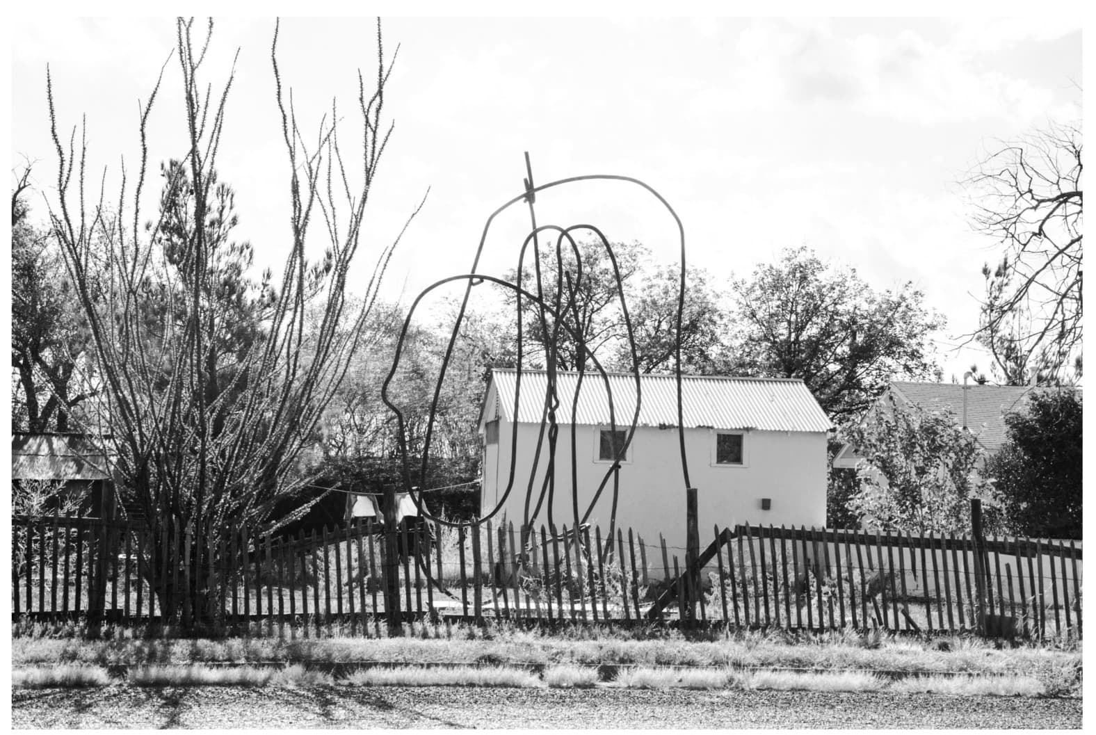 A black and white photograph of a landscape with a small white building in the background and a sculpture in the foreground. The sculpture appears as an enlarged coat hanger bent into a curved shape alluding to a profile. A plant, similar in scale to the sculpture, occupies the left portion of the image.