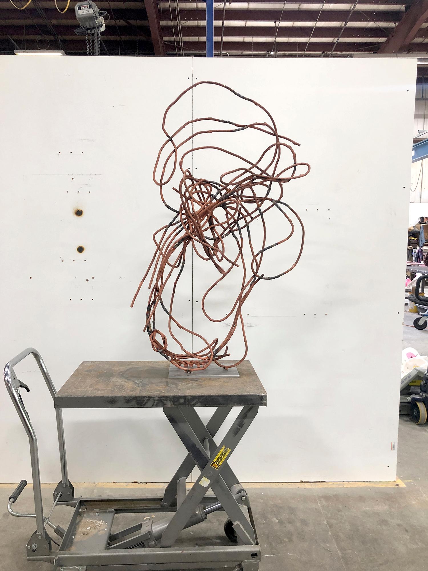 A color image of a sculpture on a cart in front of a partition wall. The form of the sculpture is knotty and made of curved metal copper-colored rod with black sections.