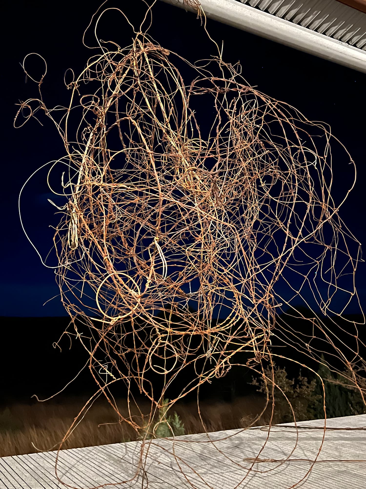 A color photograph of a wire sculpture lit by camera flash. The sculpture is placed on an exterior deck and contrasts with a dark night sky.